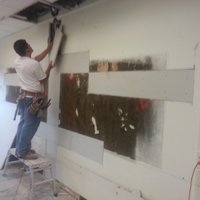 Trim and Molding